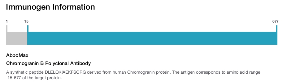 Chromogranin B Polyclonal Antibody