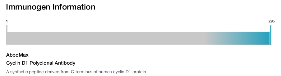 Cyclin D1 Polyclonal Antibody