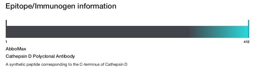Cathepsin D Polyclonal Antibody