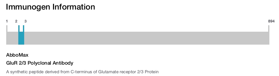 GluR 2/3 Polyclonal Antibody