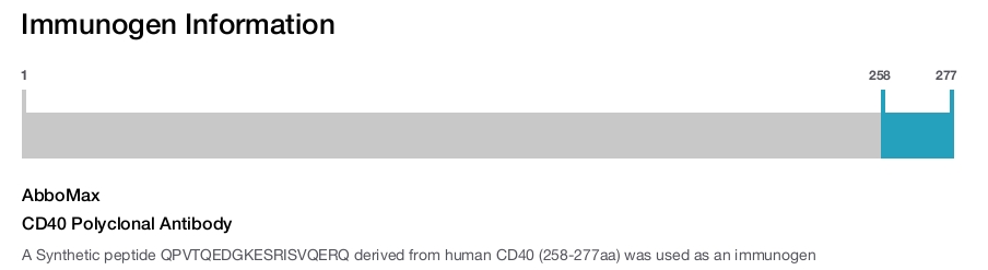 CD40 Polyclonal Antibody