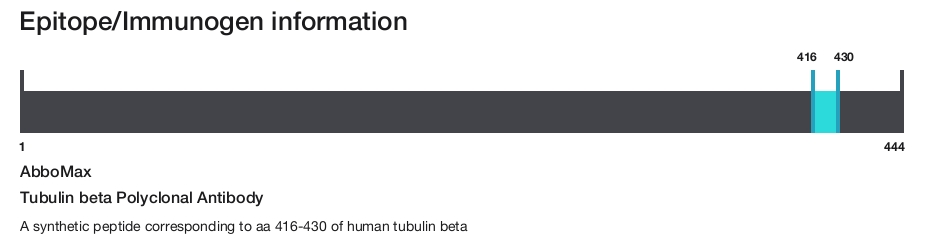 Tubulin beta Polyclonal Antibody