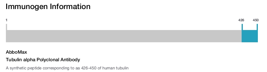 Tubulin alpha Polyclonal Antibody