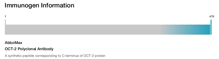 OCT-2 Polyclonal Antibody