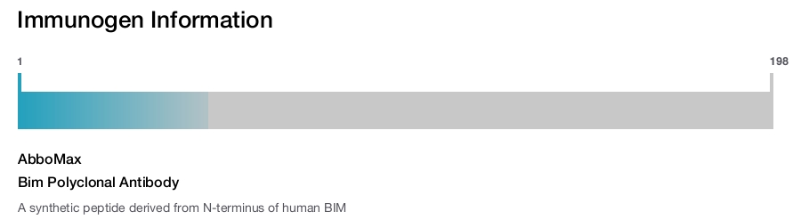 Bim Polyclonal Antibody