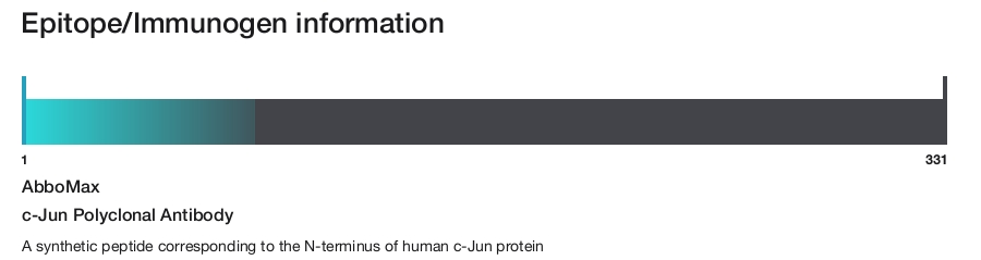 c-Jun Polyclonal Antibody