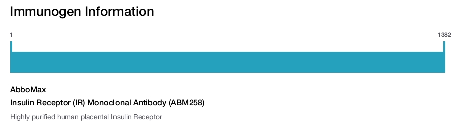 Insulin Receptor (IR) Monoclonal Antibody (ABM258)