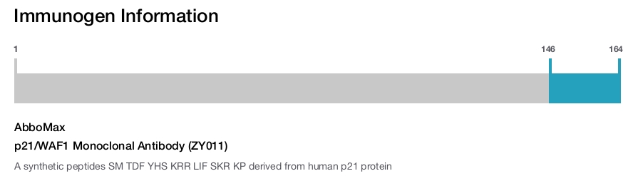 p21/WAF1 Monoclonal Antibody (ZY011)