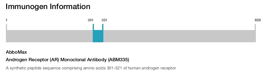 Androgen Receptor (AR) Monoclonal Antibody (ABM335)