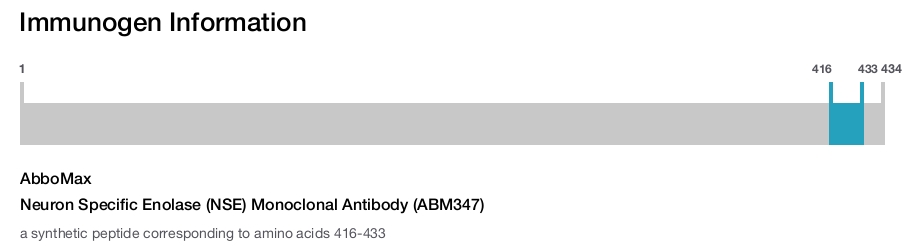 Neuron Specific Enolase (NSE) Monoclonal Antibody (ABM347)