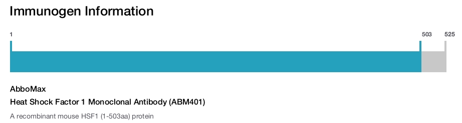 Heat Shock Factor 1 Monoclonal Antibody (ABM401)