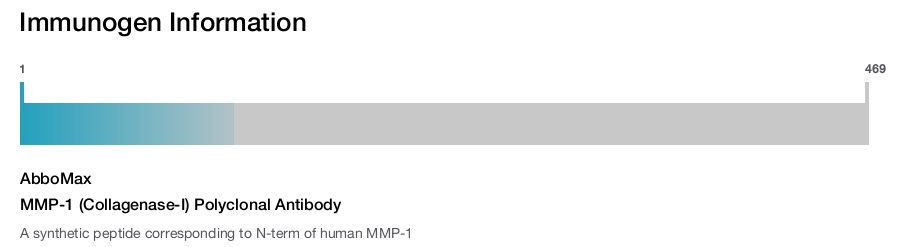 MMP-1 (Collagenase-I) Polyclonal Antibody