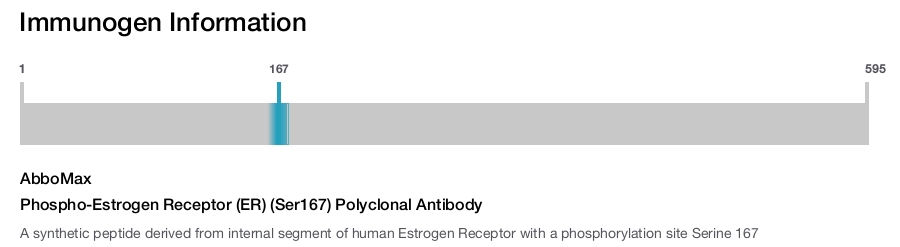 Phospho-Estrogen Receptor (ER) (Ser167) Polyclonal Antibody