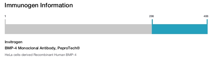 BMP-4 Monoclonal Antibody, PeproTech®