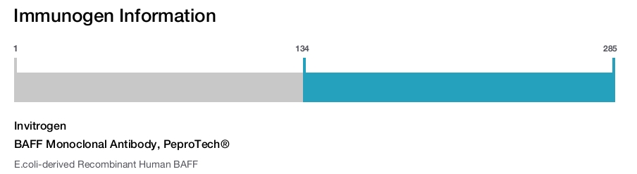 BAFF Monoclonal Antibody, PeproTech®