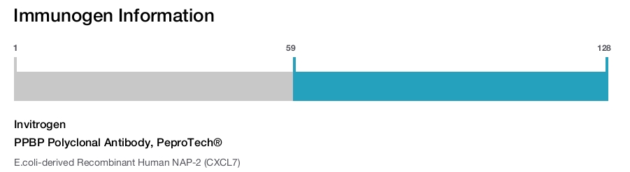 PPBP Polyclonal Antibody, PeproTech®