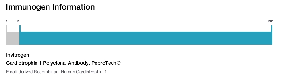 Cardiotrophin 1 Polyclonal Antibody, PeproTech®