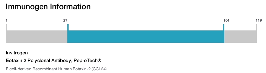 Eotaxin 2 Polyclonal Antibody, PeproTech®