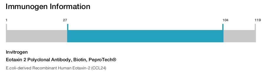 Eotaxin 2 Polyclonal Antibody, Biotin, PeproTech&reg;