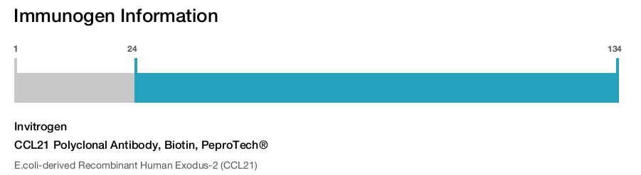 CCL21 Polyclonal Antibody, Biotin, PeproTech&reg;