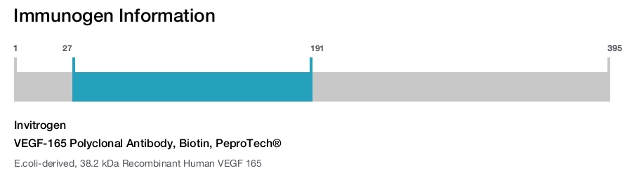 VEGF-165 Polyclonal Antibody, Biotin, PeproTech®