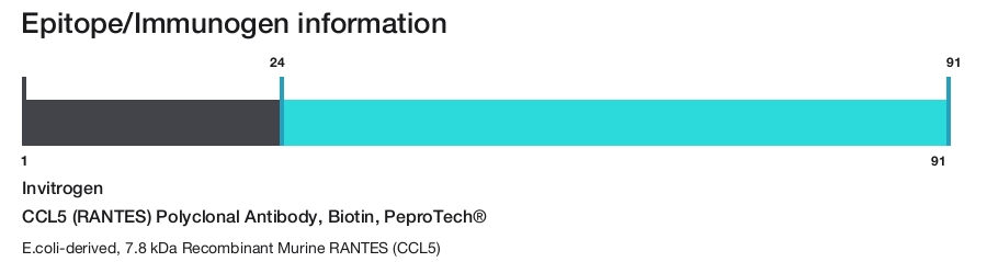 CCL5 (RANTES) Polyclonal Antibody, Biotin, PeproTech&reg;