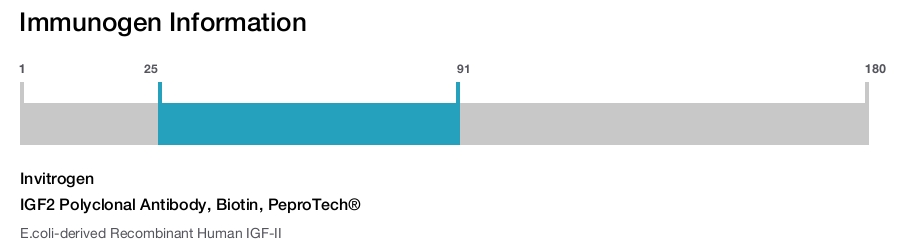 IGF2 Polyclonal Antibody, Biotin, PeproTech®