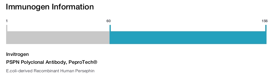 PSPN Polyclonal Antibody, PeproTech&reg;