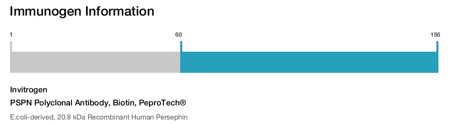 PSPN Polyclonal Antibody, Biotin, PeproTech&reg;