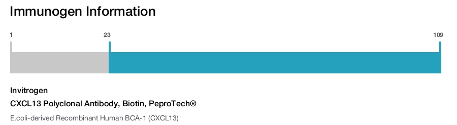 CXCL13 Polyclonal Antibody, Biotin, PeproTech&reg;