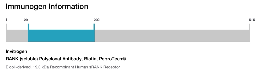 RANK (soluble) Polyclonal Antibody, Biotin, PeproTech®