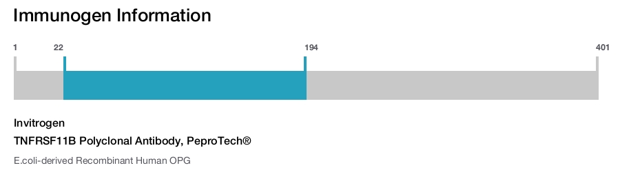 TNFRSF11B Polyclonal Antibody, PeproTech®