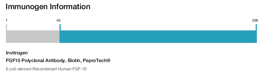 FGF10 Polyclonal Antibody, Biotin, PeproTech®