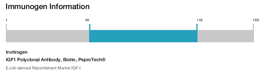 IGF1 Polyclonal Antibody, Biotin, PeproTech&reg;