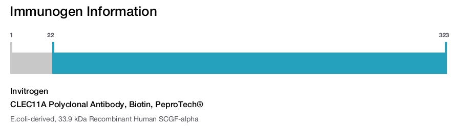 CLEC11A Polyclonal Antibody, Biotin, PeproTech®