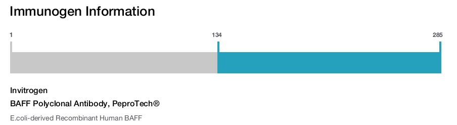 BAFF Polyclonal Antibody, PeproTech®