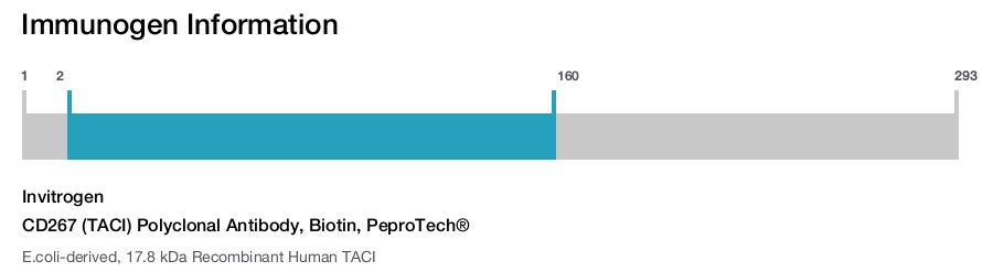 CD267 (TACI) Polyclonal Antibody, Biotin, PeproTech®