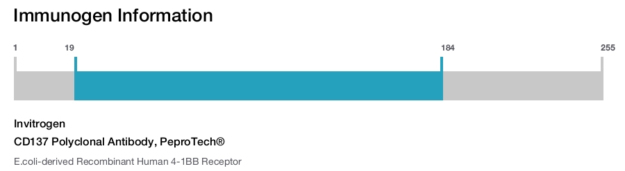 CD137 Polyclonal Antibody, PeproTech®