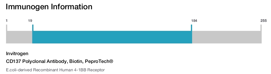 CD137 Polyclonal Antibody, Biotin, PeproTech®