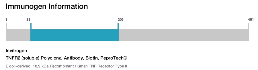 TNFR2 (soluble) Polyclonal Antibody, Biotin, PeproTech&reg;