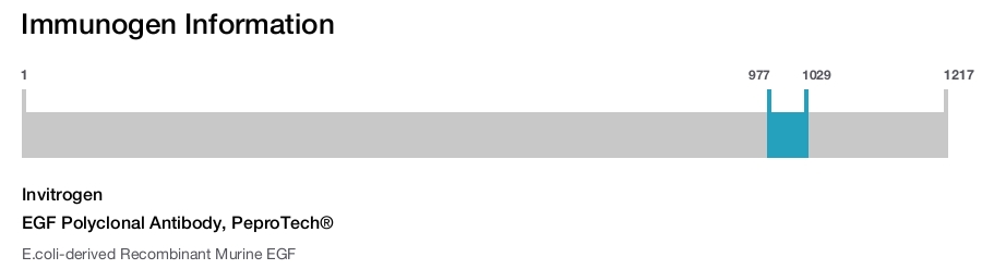 EGF Polyclonal Antibody, PeproTech®