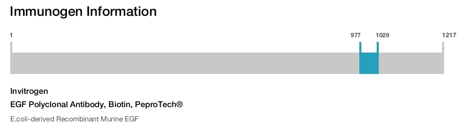 EGF Polyclonal Antibody, Biotin, PeproTech&reg;