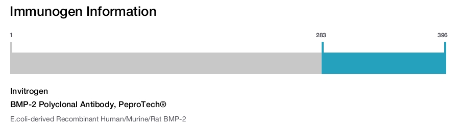 BMP-2 Polyclonal Antibody, PeproTech®