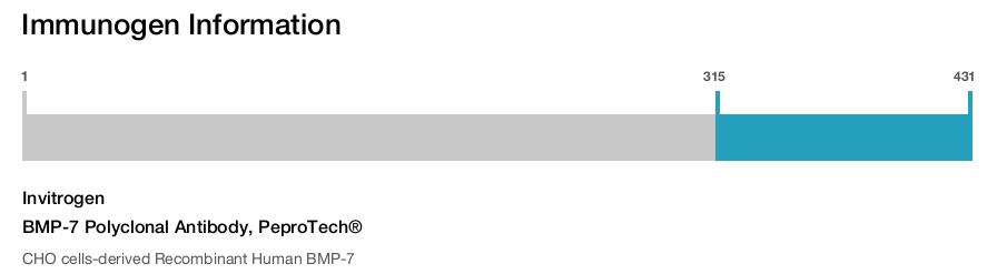 BMP-7 Polyclonal Antibody, PeproTech®