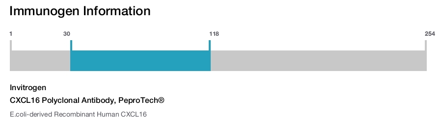 CXCL16 Polyclonal Antibody, PeproTech®