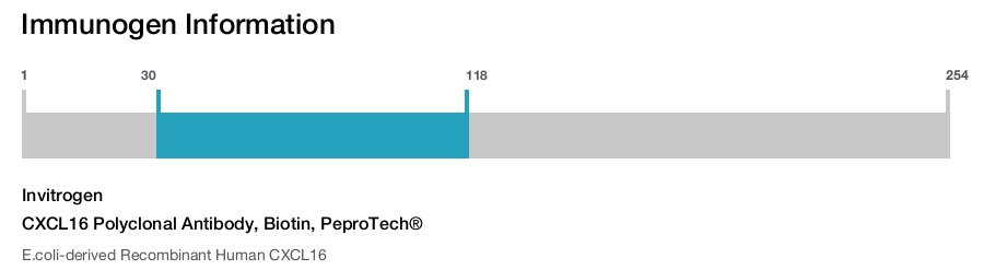 CXCL16 Polyclonal Antibody, Biotin, PeproTech®