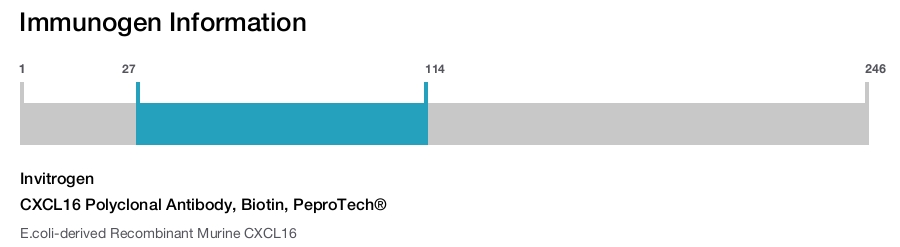 CXCL16 Polyclonal Antibody, Biotin, PeproTech®