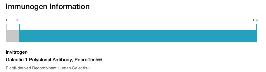Galectin 1 Polyclonal Antibody, PeproTech®