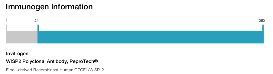 WISP2 Polyclonal Antibody, PeproTech®