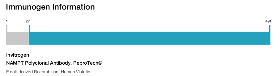 NAMPT Polyclonal Antibody, PeproTech®